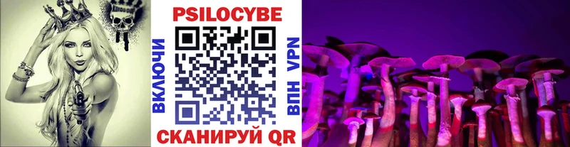 Псилоцибиновые грибы Psilocybine cubensis  Купить  Калининск 