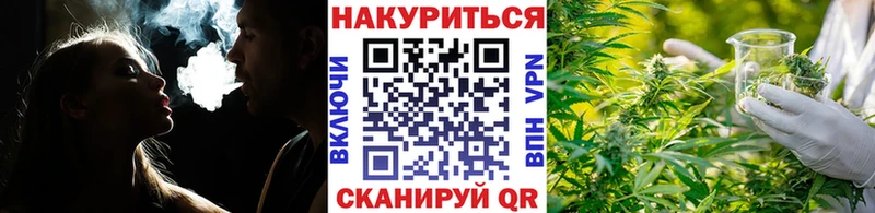 Конопля сатива  Купить закладки  Калининск 